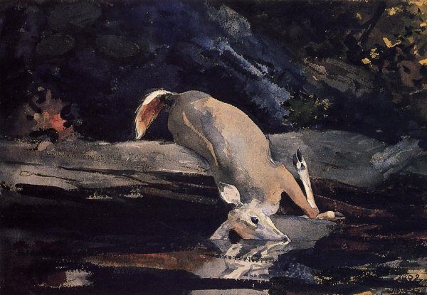 Main Product Photo of Fallen Deer Painting by Winslow Homer