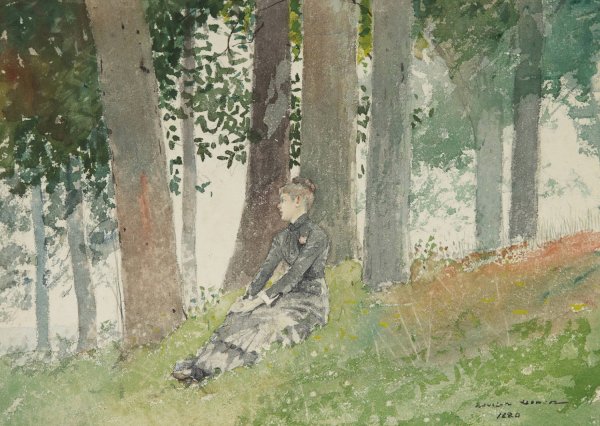 Girl Seated In A Grove  by Winslow Homer - Hand-Painted Oil Painting Reproduction