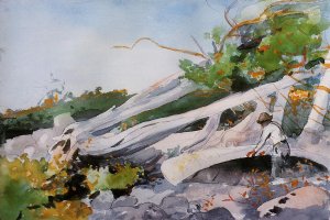 Guide Hiding a Canoe Oil painting by Winslow Homer