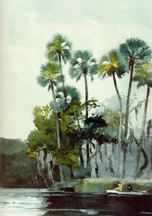Homosassa River by Winslow Homer Oil Painting