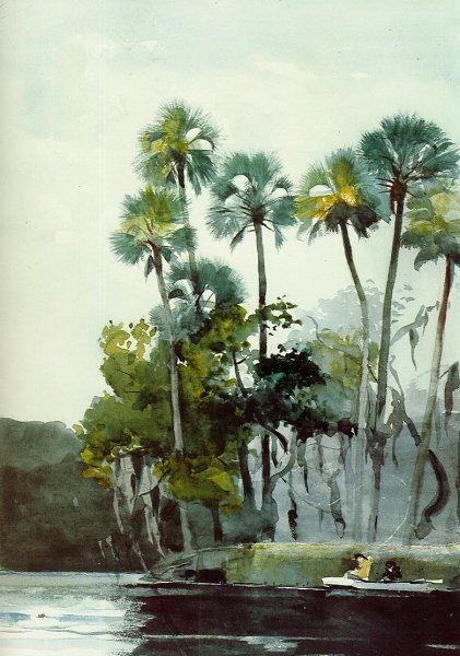 Main Product Photo of Homosassa River Painting by Winslow Homer
