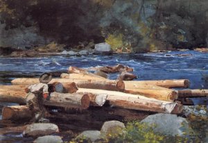 Hudson River by Winslow Homer Oil Painting