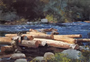 Hudson River by Winslow Homer Oil Painting