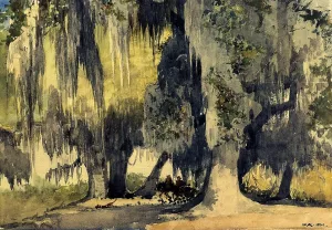 Live Oaks by Winslow Homer Oil Painting