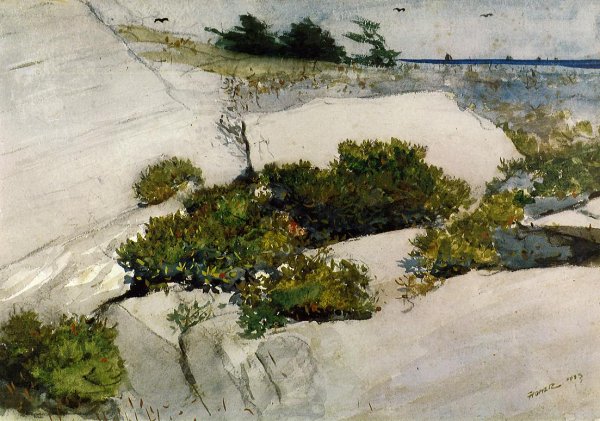 Maine Cliffs by Winslow Homer - Hand-Painted Oil Painting Reproduction