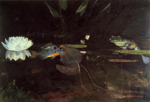 Main Product Photo of Mink Pond Painting by Winslow Homer