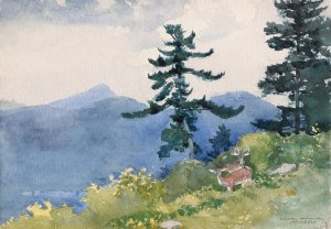 North Woods Club, Adirondacks by Winslow Homer Oil Painting