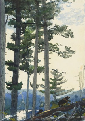 Old Settlers by Winslow Homer Oil Painting