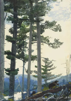 Old Settlers by Winslow Homer Oil Painting