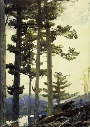 Old Settlers by Winslow Homer Oil Painting