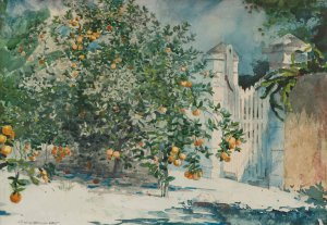 Orange Trees And Gate by Winslow Homer Oil Painting