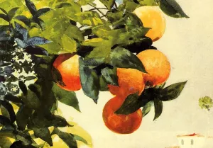 Oranges on a Branch painting by Winslow Homer