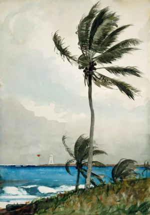 Palm Tree, Nassau by Winslow Homer Oil Painting