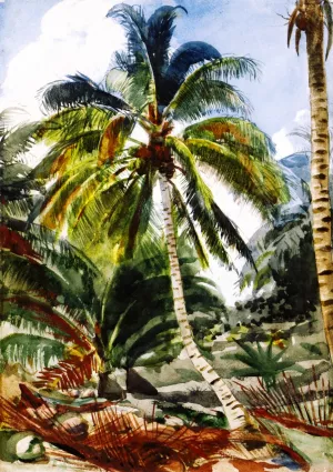 Palm Trees, Bahamas painting by Winslow Homer