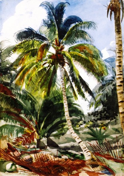 Main Product Photo of Palm Trees, Bahamas Painting by Winslow Homer