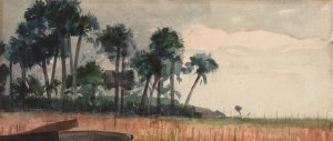 Palm Trees, Red by Winslow Homer Oil Painting