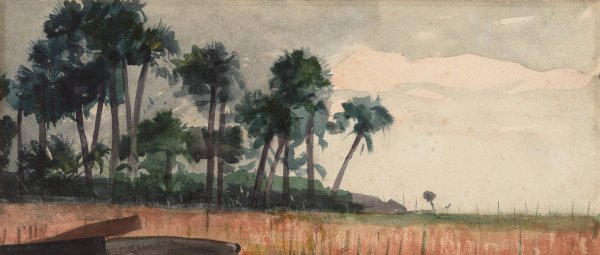 Main Product Photo of Palm Trees, Red  Painting by Winslow Homer