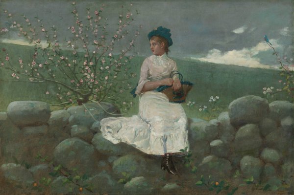 Main Product Photo of Peach Blossoms  Painting by Winslow Homer