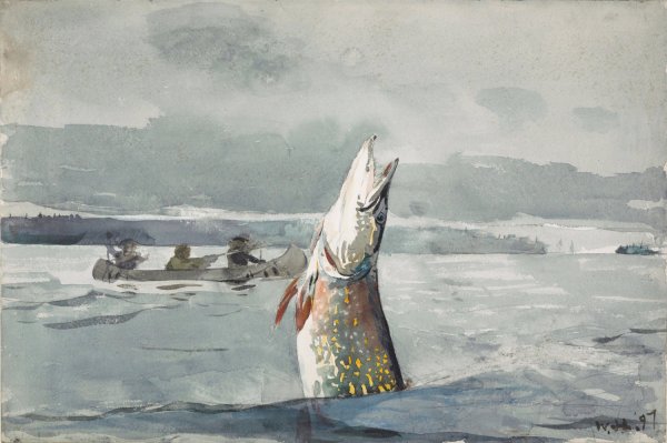 Main Product Photo of Pike, Lake St. John  Painting by Winslow Homer