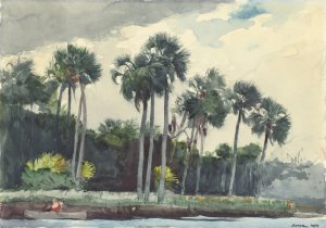 Red Shirt, Homosassa, Florida by Winslow Homer Oil Painting