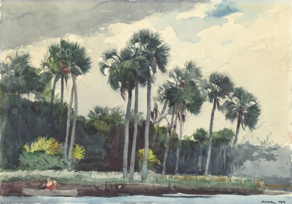 Red Shirt, Homosassa, Florida  by Winslow Homer - Hand-Painted Oil Painting Reproduction