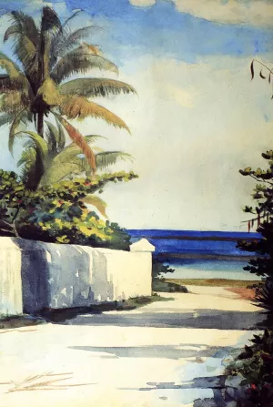 Road in Nassau also known as No.1 Nassau Street painting by Winslow Homer