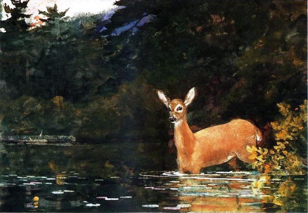 Main Product Photo of Solitude Painting by Winslow Homer