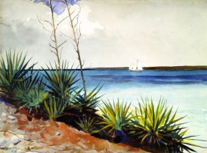 Spanish Bayonets by Winslow Homer Oil Painting