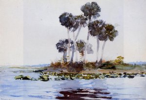 St. John's River, Florida Oil painting by Winslow Homer