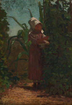 The Bean Picker by Winslow Homer Oil Painting