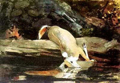 Main Product Photo of The Fallen Deer Painting by Winslow Homer