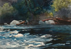 The Rapids, Hudson River, Adirondacks by Winslow Homer Oil Painting