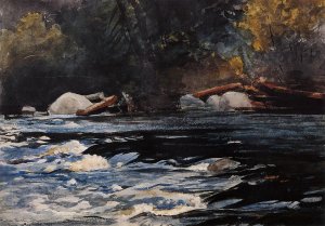 The Rapids, Husdon River, Adirondacks Oil painting by Winslow Homer