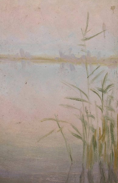 Reeds at the Lake  by Wladyslaw Ostrowski - Hand-Painted Oil Painting Reproduction