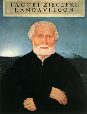 Portrait of Jacob Ziegler by Wolfgang Huber Oil Painting
