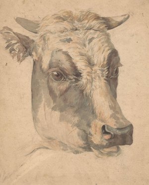 Kop van een koe by Wouter Johannes Van Troostwijk Oil Painting