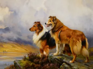 Two Collies Above a Lake by Wright Barker - Oil Painting Reproduction