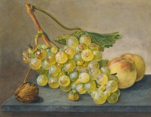 A Bunch Of Grapes, A Nut And Two Peaches by Wybrand Hendriks Oil Painting
