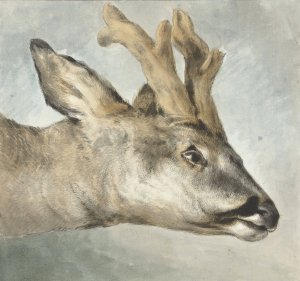 Head of a Roebuck by Wybrand Hendriks Oil Painting