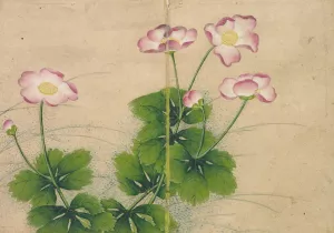 Mallow flowers Oil painting by Zhang Ruoai