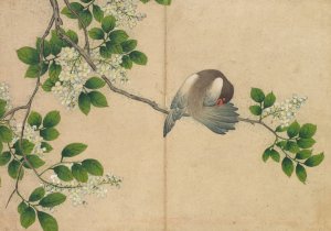 Preening Bird by Zhang Ruoai Oil Painting