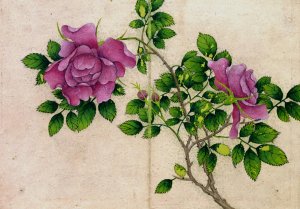 Rose Oil painting by Zhang Ruoai
