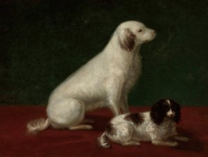 Two dogs, Miskon and Medorek by Zofia Szymanowska-Lenartowicz Oil Painting