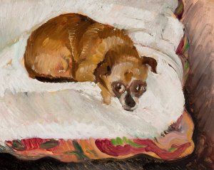 Lying dog by Zygmunt Waliszewski Oil Painting